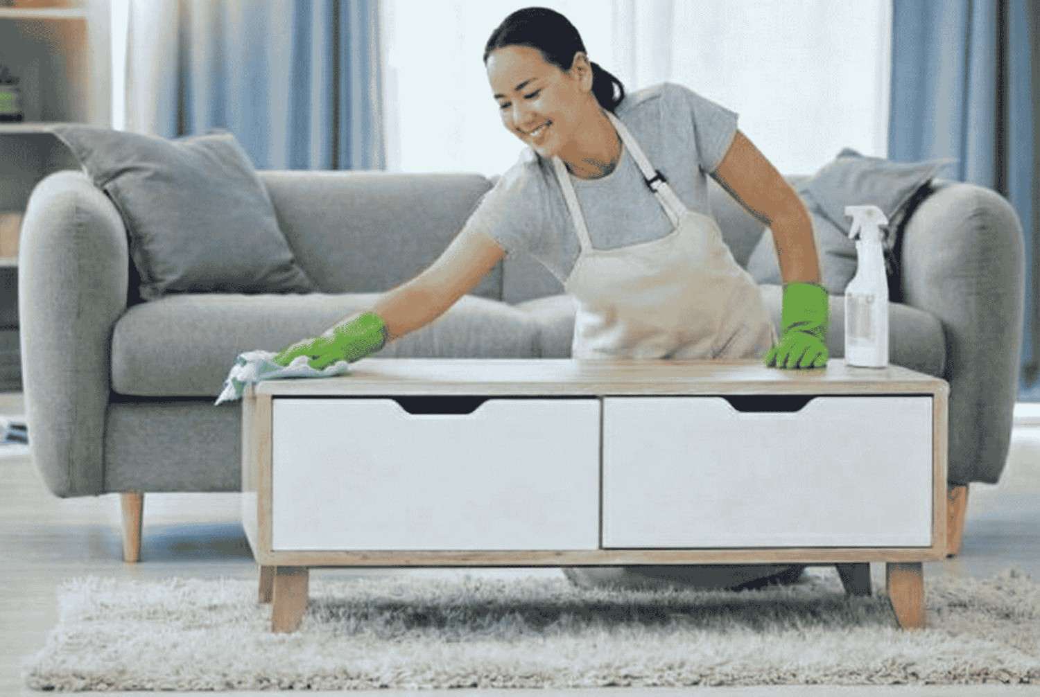 Professional cleaning team at work